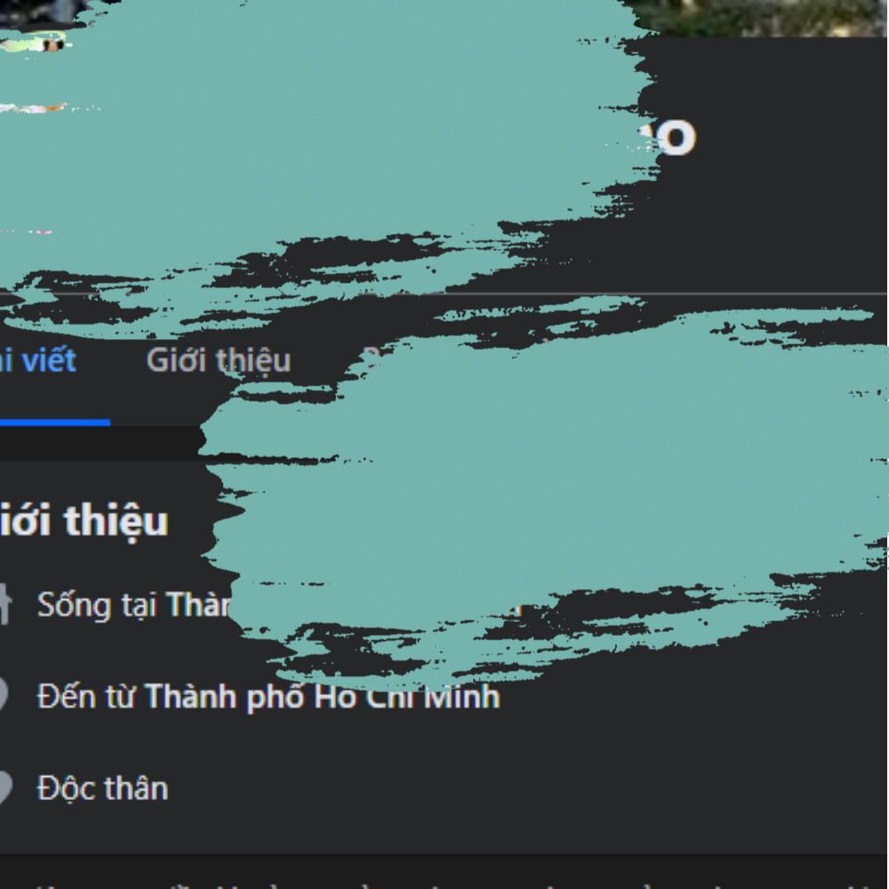 Vu Thanh Thao